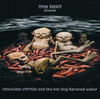 Chocolate Starfish and the Hot Dog Flavored Water, Limp Bizkit