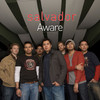 Aware - Single, Salvador