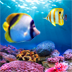 Amazing Aquarium Clock HD
