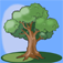 Discover Central Park HD