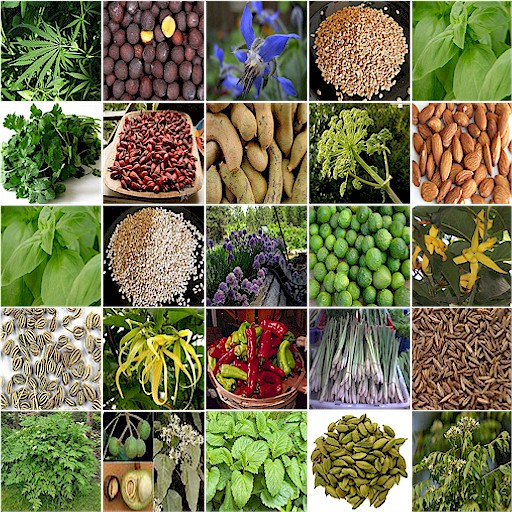 Herbs & Spices, Russian