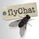 Icon FlyChat