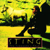 Ten Summoner's Tales, Sting
