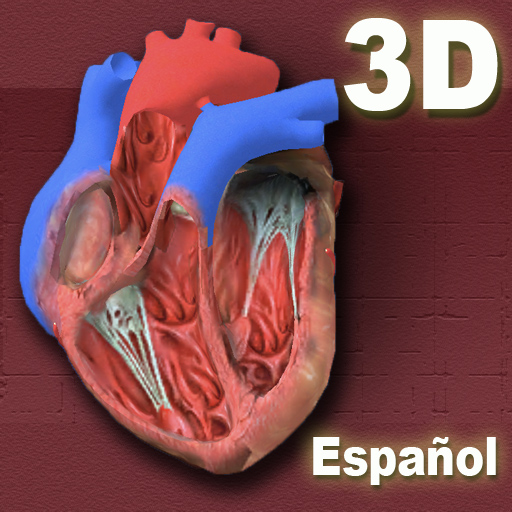 El Corazón Humano