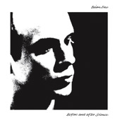 Before and after Science, Brian Eno