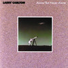 Alone/But Never Alone, Larry Carlton