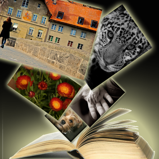 search wallpaper. ImagePro – Google Image amp; Wallpaper search with full-screen photo preview