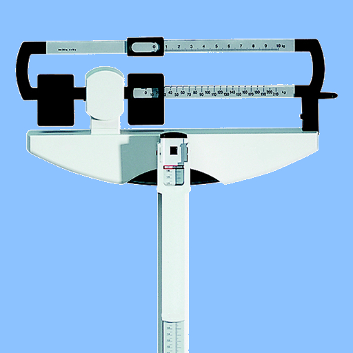 Body Mass Index (BMI)