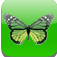 Icon Photo Effects Filters