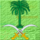Saudi Arabia News 24/7 by Aaru