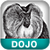 Dojo: The Definitive Guide