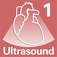 Icon Diagnostic Ultrasound Video Clips #1 Normal Heart