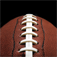 Icon TeamView (Ohio State)