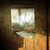 The Used / In Love and Death / Lies for the Liars, The Used