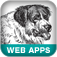 Developing Large Web Applications