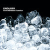 Form Without Function, Enduser