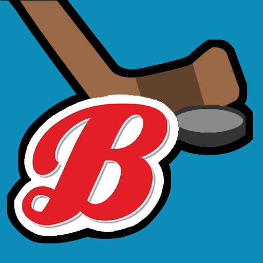 Backyard Hockey icon