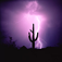 BOLTS OF LIGHTNING -- Powerful Storms and Stabs of Light from the Sky