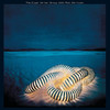 The Edgar Winter Group With Rick Derringer, Rick Derringer