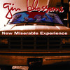 New Miserable Experience, Gin Blossoms