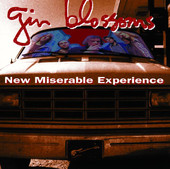 New Miserable Experience, Gin Blossoms