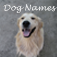 Dog Names, Find a pet name for your new pup