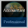 Accountant Handbook (Professional Edition)