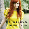 One Cell In the Sea, A Fine Frenzy