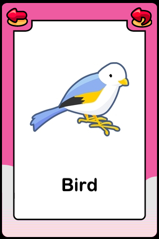 Baby Flash Cards