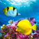Amazing Aquarium Clock 2