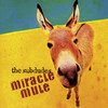 Miracle Mule