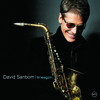 Timeagain-Single, David Sanborn