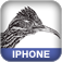 iPhone Game Development