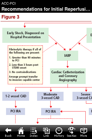 ACC Pocket Guidelines