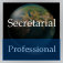 Secretarial Handbook (Professional Edition)