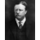 Theodore Roosevelt Study Guide