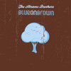 Blue On Brown, The Abrams Brothers