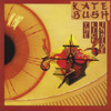 The Kick Inside, Kate Bush