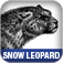Mac OS X Snow Leopard Pocket Guide