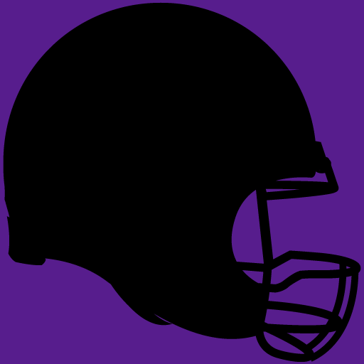 Baltimore Ravens 2010 News - Ravens Insider