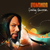Finding Forever (Instrumentals), Common