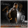 Shake That S**t - Single, Vicious