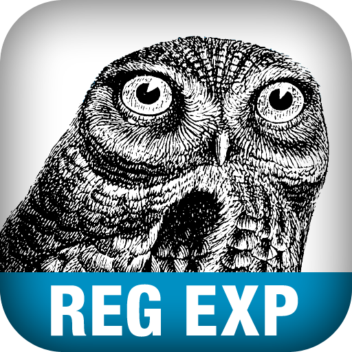 Regular Expression Pocket Reference