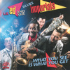 ...What You See Is What You Get, Lil' Ed & The Blues Imperials
