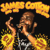 Live from Chicago - Mr. Superharp Himself!, James Cotton