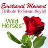 Wild Horses (Susan Boyle Tribute Version) Song Cover