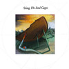 The Soul Cages, Sting