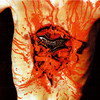 Indecent and Obscene, Dismember