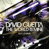 The World Is Mine, David Guetta