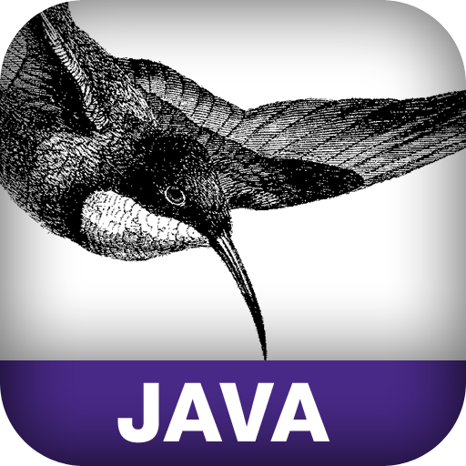 Better, Faster, Lighter Java
